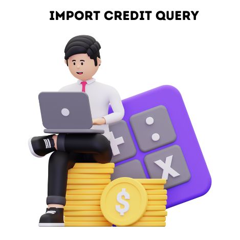 Import credit query